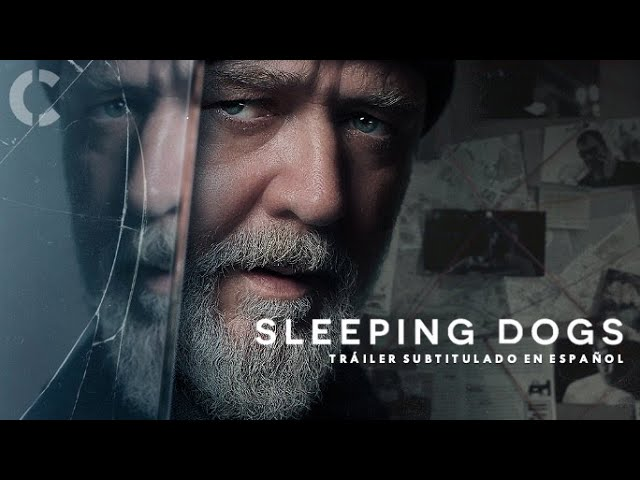 Sleeping Dogs Hindi Dubbed Full Movie Watch Online